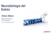 Neurobiología del Estrés€¦ · Etimología de estrés •Palabra inglesa stress que significa «énfasis, presión, fatiga». •Deriva del verbo latino stringere que significa