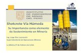 Shotcrete Vía Húmeda - Instituto de Ingenieros de Minas ... · gradación N° 02, según ACI 506-Guide to Shotcrete. Diseño de Mezcla • AGUA • Reacciona con el cemento para