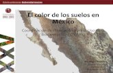 El color de los suelos en México · 2019. 10. 25. · Uso de suelo y vegetación Color Munsell Matiz (Hue), Intensidad (value), saturación (chroma) R, G, B RF (modelación cada
