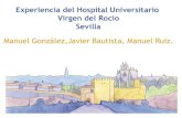 Experiencia del Hospital Universitario Virgen del Rocío Sevilla...El Servicio de Oncología Médica del Virgen del Rocío 2800 primeras veces en 2013, 26 médicos adjuntos, 14 médicos
