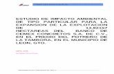 CAMBIO DE USO DE SUELO DE TERRENOS FORESTALES EN …sinat.semarnat.gob.mx/dgiraDocs/documentos/gto/e... · para una inspeccion del banco de la empresa, en el predio de la tambora