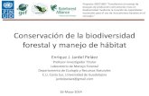 Presentación de PowerPoint - Gob€¦ · Mantener complejidad estructural en los rodales 4. Protección de los ecosistemas acuáticos ESTRATEGIAS • Corredores ribereños y otros