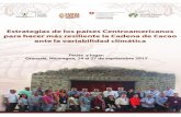 Memoria Síntesis de lossicacao.info/wp-content/uploads/2019/08/MemoriaPPT-VECOMAFinal.pdf · - Reemplazo de plantaciones antiguas por plantas mejoradas. - Investigación genética