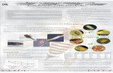 Biología en Galicia y posibilidades de control de ...efa-dip.org/comun/publicaciones/posters/2005/2005%20Bragan%E7a/... · BIOLOGÍA Estudio realizado en campo en dos plantaciones