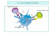 6. Inmunidad Celular - jamontaraz.files.wordpress.com · Uno de los principales obstáculos de la vacuna BCG, es que convierte a los animales en tuberculina-positivos. Para resolver
