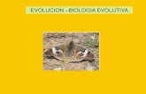 EVOLUCION BIOLOGIA EVOLUTIVA · •La biología evolutiva como disciplina académica propiamente dicha emergió como resultado del neodarwinismo durante las décadas del 30 y del