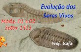 New Evolução dos Seres Vivos · 2015. 2. 19. · Classificação Embriológica dos Animais Parazoários:sem ... tecidos verdadeiros Poríferos Cnidários até Cordados Animais são