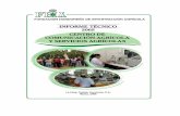 INFORME TECNICO COMUNICACIONES 2005 REVISADOfhia.org.hn/dowloads/informes_tecnicos/it2005comunicaciones.pdf · impacto que tuvieron en la generación de ingresos para los productores,