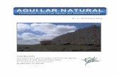 Publicación cultural de Aguilar del Alfambra (Teruel) · obras historiográficas, y a modelos consolidados en la investigación sobre la formación de núcleos de poblamiento y gestión
