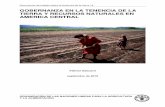 New LTWP-18 Central America · 2017. 11. 29. · GOBERNANZA EN LA TENENCIA DE LA TIERRA Y RECURSOS NATURALES EN AMERICA CENTRAL Fabrice Edouard septiembre de 2010 Las denominaciones