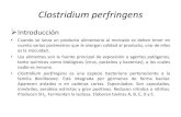 Clostridium perfringens - WordPress.com...Clostridium perfringens Introducción • Cuando se lanza un producto alimentario al mercado se deben tener en cuenta varios parámetros que