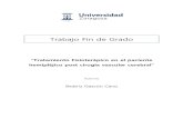 Trabajo Fin de Grado - unizar.eszaguan.unizar.es/record/7261/files/TAZ-TFG-2012-099.pdf · 2014. 11. 28. · - Método Kabat o Facilitación neuromuscular propioceptiva (FNP): ...