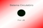 Sistema Circulatório - admin.webplus.com.bradmin.webplus.com.br/public/upload/downloads/1505201208175170… · Sistema Circulatório •Integrar os sistemas. •Transportar nutrientes,
