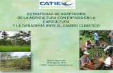 ESTRATEGIAS DE ADAPTACIÓN DE LA AGRICULTURA CON ENFASIS EN LA CAFICULTURA Y LA ... · 2019. 12. 26. · Impactos del cambio climatico en Nicaragua 5. Inundaciones en las zonas costeras