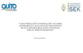 Presentación de PowerPoint - UISEK Ecuador · 2019. 7. 4. · Manual de Agua Potable, Alcantarillado y Saneamiento. Diseño de plantas de tratamiento de aguas residuales municipales: