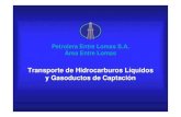 Transporte de Hidrocarburos Líquidos y Gasoductos de …Pasaje de pig de limpieza Pasaje de pig instrumentado: Oleoducto (2004, prox.: 2011) Gasoducto (2006) Petrolera Entre Lomas
