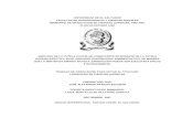 UNIVERSIDAD DE EL SALVADORri.ues.edu.sv/id/eprint/4775/1/AMPLITUD DE LA TUTELA... · 2013. 10. 16. · universidad de el salvador facultad de jurisprudencia y ciencias sociales seminario