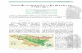 Estado de conservación de las náyades en el Ebro medio · Catálogo de Especies Amenazadas de Aragón con la categoría de «en peligro de extinción». Cuenta con una Estrategia