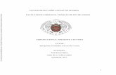 UNIVERSIDAD COMPLUTENSE DE MADRID BRAVO PLAZA.pdf · 2019. 6. 3. · oligonucleótidos de forma aleatoria, incubándola con las moléculas de interés, hasta encontrar las que presentan