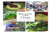 Recetas con Chaya - Miracles In Action · Elaboración de platillos: Chef Euda Morales. Índice Beneficios nutritivos de la chaya Preparación de Chaya Papillas de Chaya • Papilla