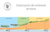 Colonización del ambiente terrestre · 2017. 6. 20. · Diversidad de la vida en los océanos durante el periodo silúrico a) Características de la vida en los océanos durante