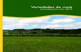 Variedades de maíz - SERIDA · 2017. 4. 5. · Tabla 1. Cronología de la floración del maíz a partir del comienzo de la etapa reproductiva Estadío FLOR FEMENINA (mazorca) FLOR