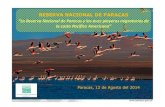 RESERVA NACIONAL DE PARACASmigratoryshorebirdproject.org/wp-content/uploads/... · Paracas. Designaciones internacionales 1) Sitio Ramsar o Humedal de Importancia Internacional, especialmente
