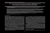 UNA NUEVA ESPECIE DE PHRYNUS LAMARCK 1801 ...sea-entomologia.org/Publicaciones/PDF/BOLN43/089_093BSEA...89 Boletín Sociedad Entomológica Aragonesa, nº 43 (2008) : 89–93. UNA NUEVA