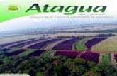 ATAGUA – Asociación de Técnicos Azucareros de Guatemala, … · 2019. 6. 20. · Nueva COSECHADORA DE CAÑA CH570 JOHN DEERE La nueva cosechadora cuenta con tecnología superior