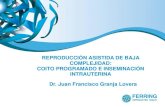 DIPLOMADO MANEJO DE LA INFERTILIDAD DE BAJA …profesionales.ferring.com.mx/wp-content/uploads/2018/05/8.-Tecnic… · Espermatobioscopia directa Perfil hormonal (día 2 a 4 del ciclo)