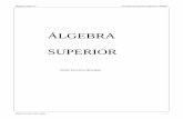 Mathcad - Notas de Álgebra Supe · 2018. 2. 27. · Álgebra Superior Facultad de Ingeniería Eléctrica UMSNH Capítulo 0 Teoría Elemental de Conjuntos 1.1 Definición y notación.