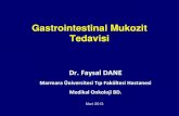 Gastrointestinal Mukozit Tedavisitakd.org.tr/pdf/Faysal_Dane.pdf · 2014. 11. 26. · Ulcerative colitis Autoimmune Diarrhea, hematochezia, ileus Mild to life- threatening Steroids,