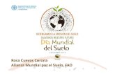 Rosa Cuevas Corona Alianza Mundial ... - Rede Rural Nacional...agricultura y ganadería • Migración urbana y rural ... erosion Soil structure, soil health and sustainable agriculture