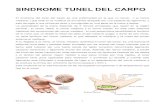 SINDROME TUNEL DEL CARPO · 2020. 6. 3. · SINDROME TUNEL DEL CARPO El síndrome del túnel del carpo es una enfermedad en la que un nervio ( el nervio mediano ) que está en la
