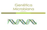 Genأ©tica Microbiana - Genأ©tica Microbiana Unidad 5. Genأ©tica microbiana ... bases en el genoma de