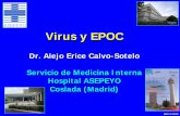 Virus y EPOC · 2015. 11. 10. · AEC-S 2009 Conclusiones • Un porcentaje significativo (20% - 40%) de las agudizaciones de la EPOC puede deberse a infecciones por virus respiratorios,
