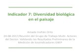 Indicador 7: Diversidad biológica en el paisaje€¦ · Pinus elliottii (familia Pinnáceae) INVASORA Eucaliptus spp. ( familia Mytaceae) POTENCIALMENTE INVASORA Caña de azúcar