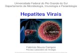Apresentação do PowerPoint · IgM presente até 6 meses após infecção aguda Hepatite B •Duração dos anticorpos Anti-capsídeo IgM: infecção recente Anti-capsídeo IgG: