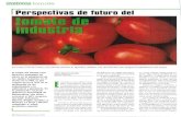 Perspectivas de Futuro del Tomate de Industria · de mercado y ayuda de la UE), apenas superaba los 65 euros portonelada, lo que derivaba en una situación insostenible. Con secuenciadeestosfactores,tuvo