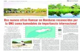 (Foto: Roger Flores) Dos nuevos sitios Ramsar en Honduras ...€¦ · tugas Caretta caretta, Chelonia mydas (tortuga verde) y Eretmochelys imbricata. También se encuentran algunas