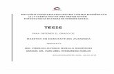 TESIS - ciateq.repositorioinstitucional.mx · Dr. Iván Abel Hernández Robles M.C. Juan Carlos Gutiérrez Villegas Asesor ... En la primera parte del trabajo consistió en analizar
