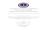 UNIVERSIDAD NACIONAL DE CHIMBORAZO FACULTAD DE INGENIERÍA CARRERA DE …dspace.unach.edu.ec/bitstream/51000/6864/2/BIOPELICULAS... · 2020. 9. 8. · 1 UNIVERSIDAD NACIONAL DE CHIMBORAZO