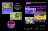 E R C A I A C G A O SECRETARÍA DE AGRICULTURA Y …-Conservacion-de-forrajes,-ensilajes-y-heno,-G.pdfTegucigalpa, M. D. C. 2004 Honduras, C. A. SECRETARÍA DE AGRICULTURA Y GANADERÍA