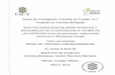 cicy.repositorioinstitucional.mx · 2018. 5. 28. · CICY ( POSGRADOE ) Cl C'AS ( BIO OGICAS Centro de Investigación Científica de Yucatán, A.C. Posgrado en Ciencias Biológicas
