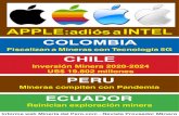 PERU ECUADOR€¦ · nuevas reglas de bioseguridad, mayores turnos laborales, ... ción de cobre, oro y zinc. Al menos 41 grandes mineras locales han implementado protocolos sani-