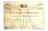 Estructura y función del cuerpo humano -UOMbiblioteca.esucomex.cl/RCA/Medio interno y homeostasia.pdf · La homeostasia designa la capacidad de un sistema para conservar su medio