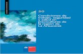Inicio - DT - Dirección del TrabajoCondiciones de trabajo, seguridad y salud en pisciculturas de la región de La Araucanía es una publicación del Departamento de Estudios de la