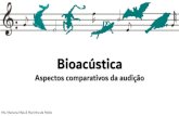 Bioacústica - Unesp · 2019. 9. 19. · •Classe Crustacea. Crustáceos •Lagosta-da-Noruega (Nephropsnorvegicus) ... com o auxílio dos galhos de mangue. Arthropoda •Classe