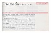 Capítulo 5 · 2018. 9. 8. · Ensayos de hibridación del DNA (ii) Marcaje terminal. Este procedimiento supone la adición de un grupo marca- do a uno o a unos pocos nucleótidos