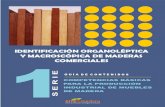 IDENTIFICACIÓN ORGANOLÉPTICA Y MACROSCÓPICA DE …Secure Site cdn.Las características organolépticas de la madera son aquellas que pueden ser percibidas por los órganos sen-soriales.